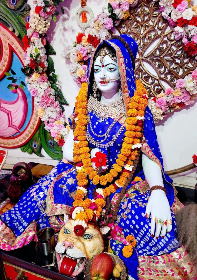 इक्यावन शक्तिपीठ तीर्थ में हुआ माता का नीलाम्बर श्रृंगार