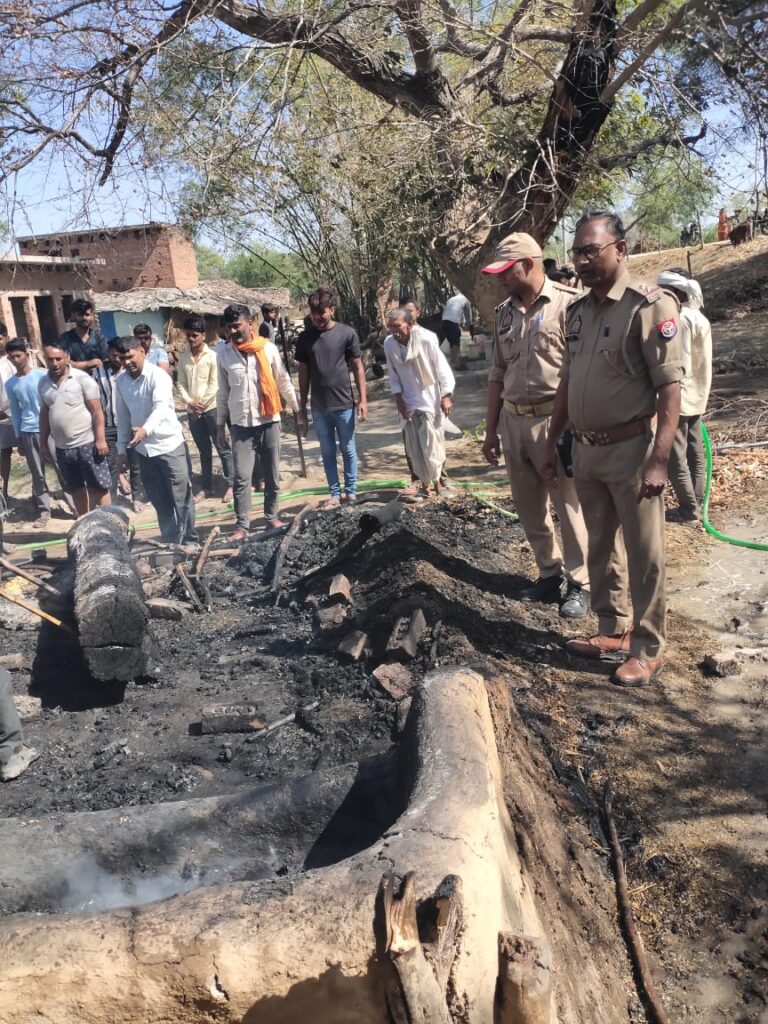 किसान के घर में लगी आग से मवेशी सहित सामान जलकर हुआ खाक