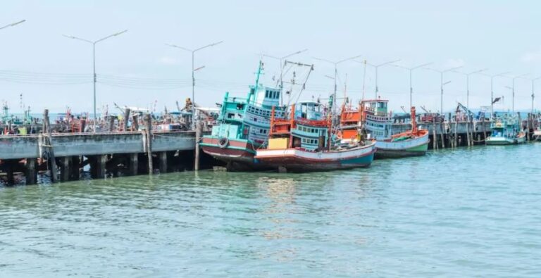 पाकिस्तान ने की जवाबी कार्रवाई,  भारतीय जहाजों के लिए बंदरगाह किये बंद